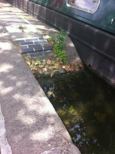 Slopes for horses that slipped into the canal.