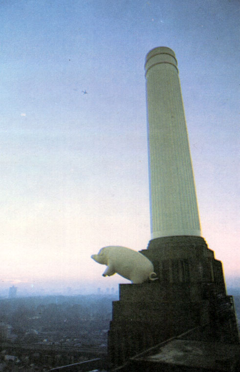 Pig-Pink-Floyd-4
