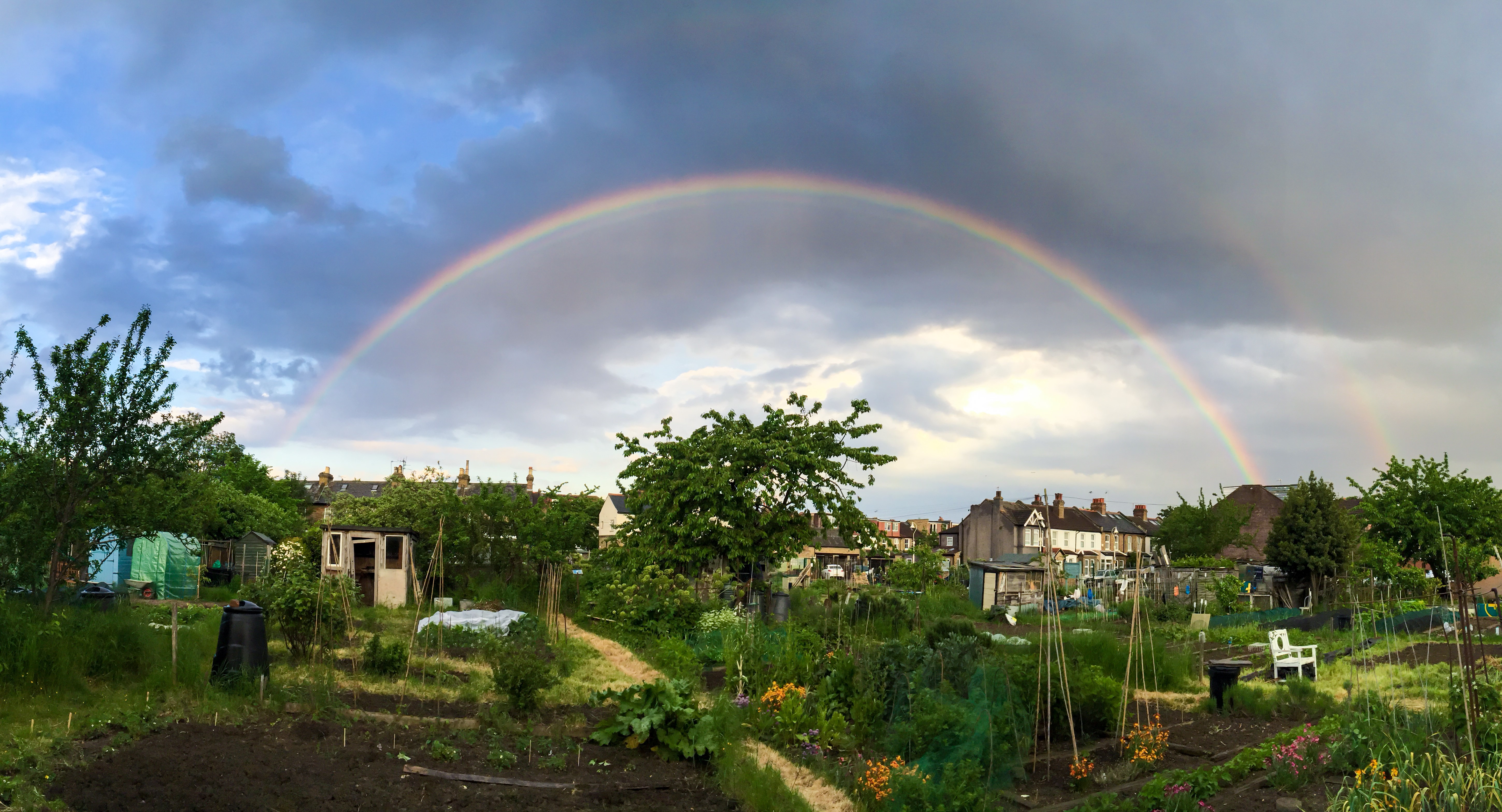 Northfields Allotments - rainbow 2_Credit - Paul Bate